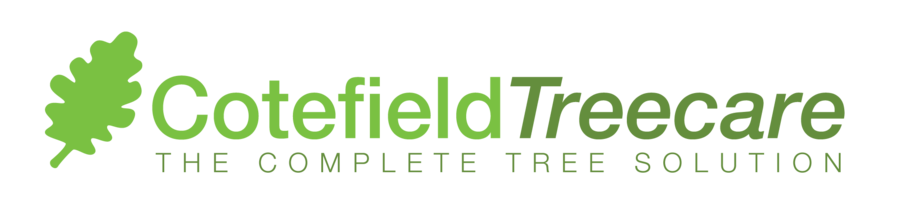 Cotefield Treecare