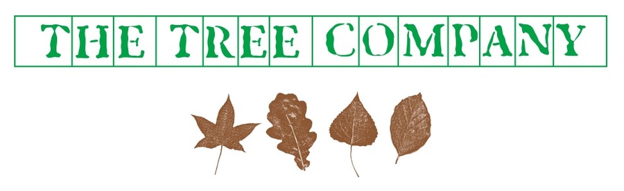 The Tree Company (London) Ltd 