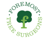 Foremost Tree Surgeons Ltd.