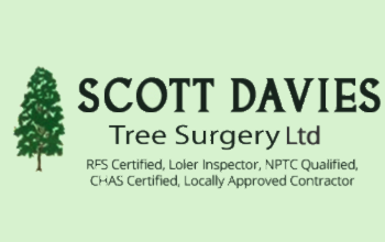 Scott Davies Tree Surgery Ltd