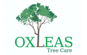 Oxleas Tree Care