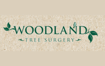 Woodland Tree Surgery Ltd