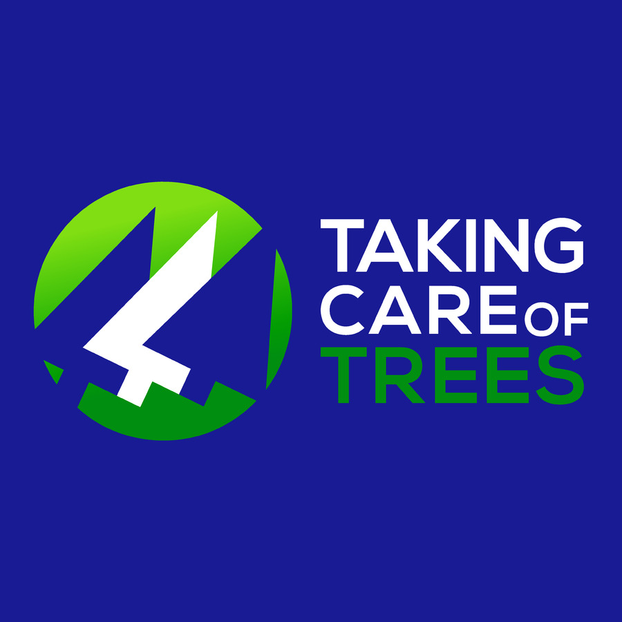 Taking Care of Trees