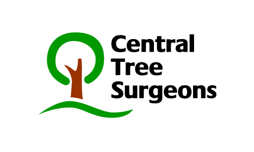 Central Tree Surgeons