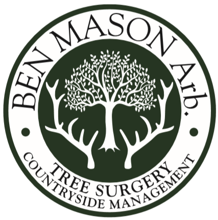 Ben Mason Arb Ltd