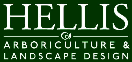 HELLIS Solutions Ltd