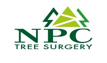 NPC Tree Surgery