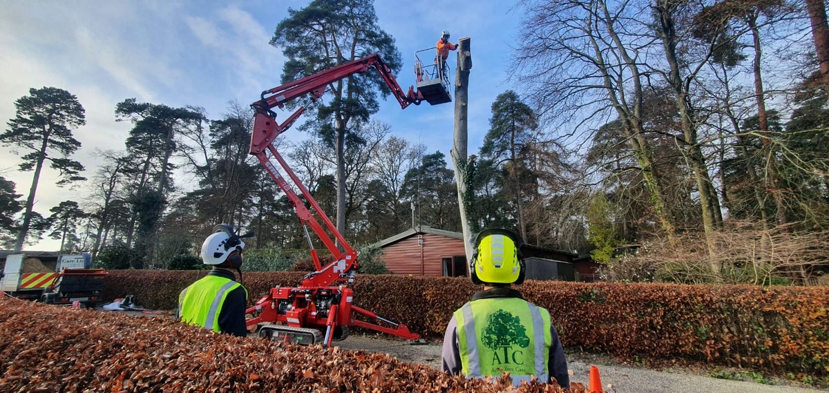 Groundsman/second climber Wanted Salisbury, New Forest