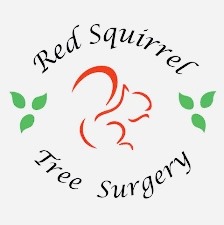 Red Squirrel Tree Surgery Ltd 