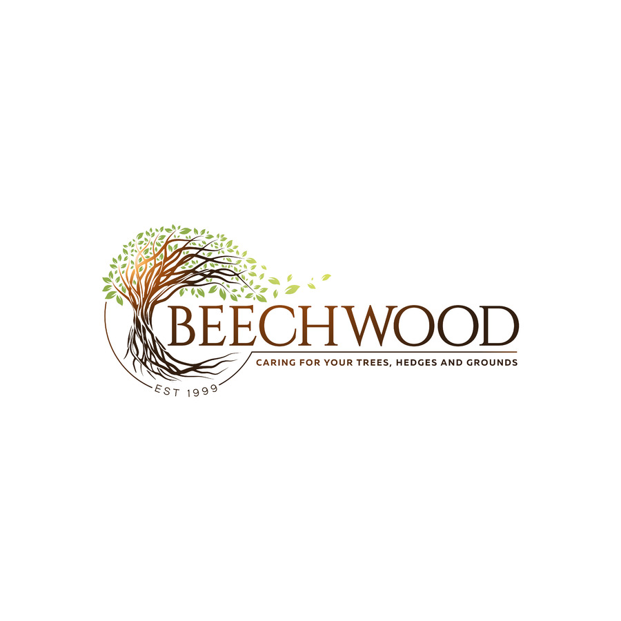 Beechwood Tree Care Ltd