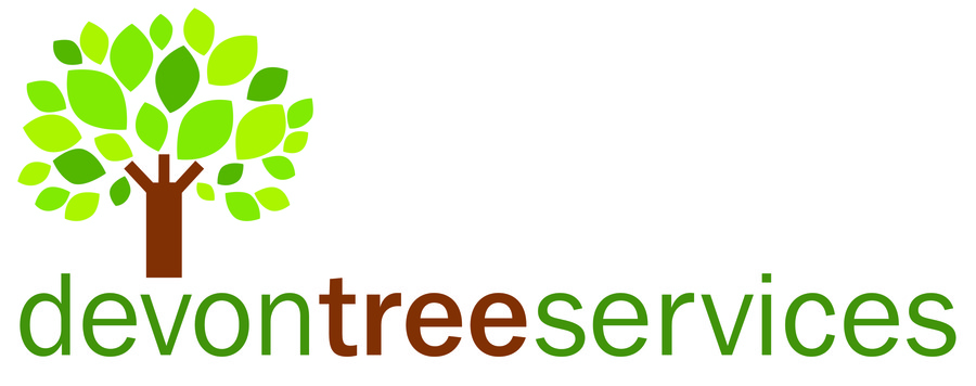 Devon Tree Services Ltd