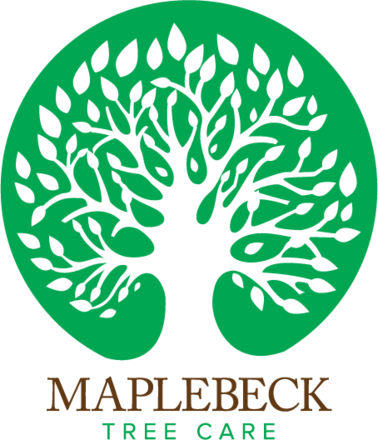 Maplebeck Tree Care 