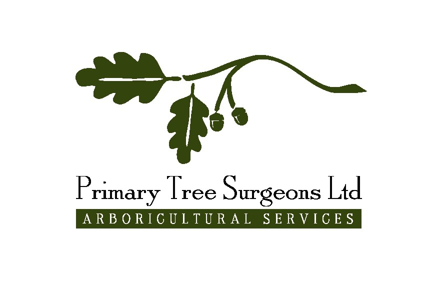 Primary Tree Surgeons Ltd