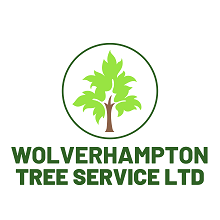 WOLVERHAMPTON TREE SERVICE LTD