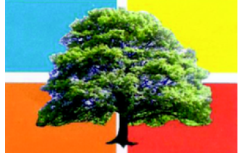 All Seasons Tree Care Ltd