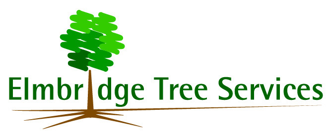 Elmbridge Tree Services Ltd