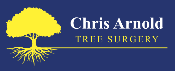 Chris Arnold Tree surgery 