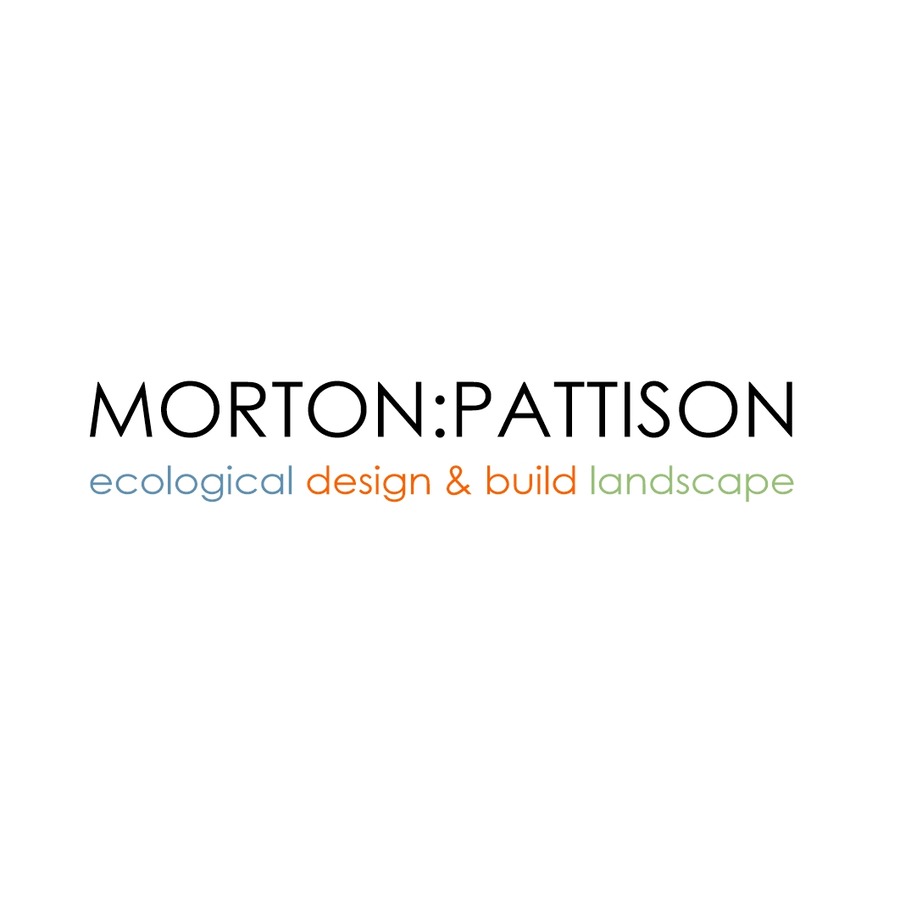 Morton Pattison Ltd