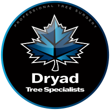 Dryad Tree Specialists Ltd 