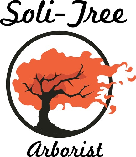 Soli-Tree Arborist