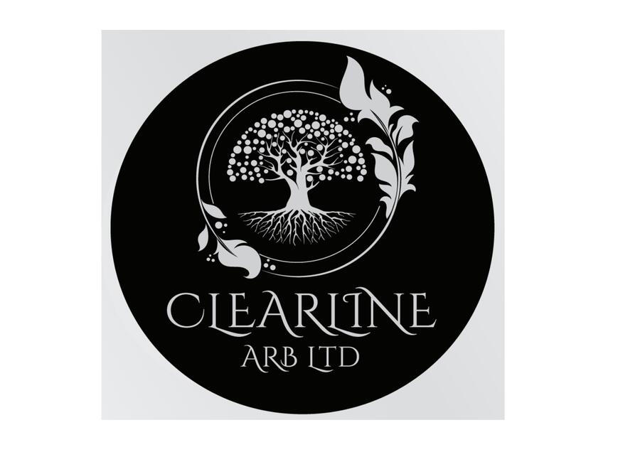 CLEARLINE ARB LTD