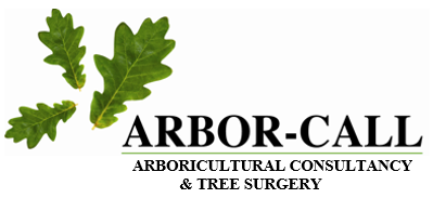 Arbor Call Ltd