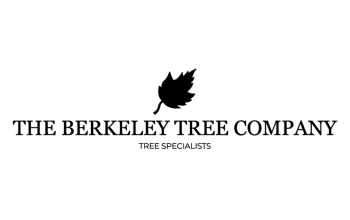 The Berkeley Tree Company Limited