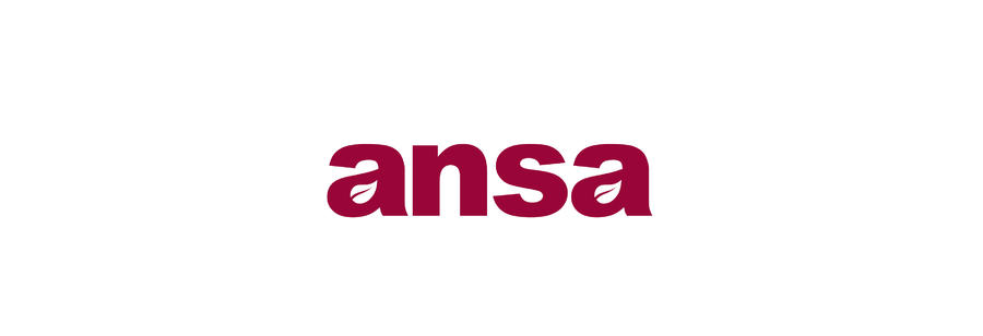 Ansa Environmental Services