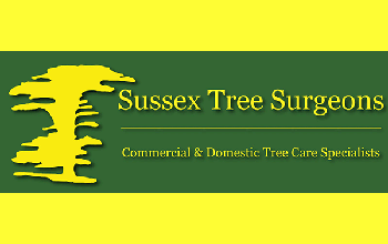 Sussex Tree Surgeons