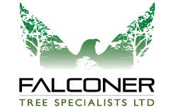 Falconer Tree Specialists ltd