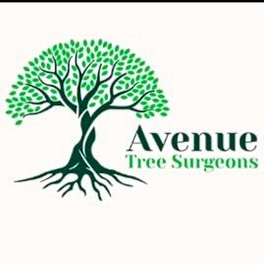 Avenue Tree Surgeons