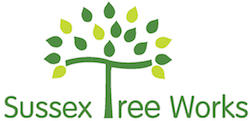 Sussex Tree Works Ltd