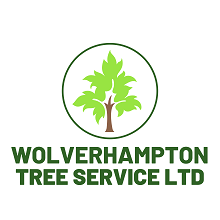 Wolverhampton Tree Service Ltd