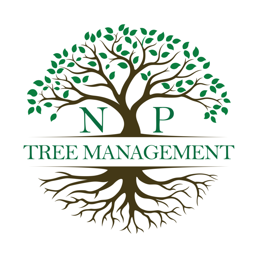 NP Tree Management