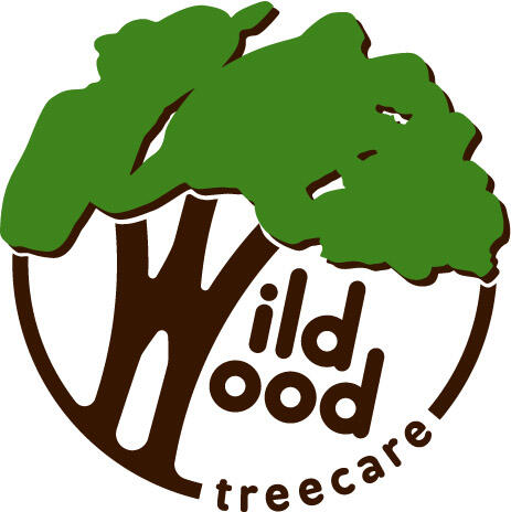 Wildwood Treecare Bristol Ltd