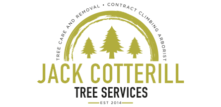 Jack Cotterill Tree Services Ltd