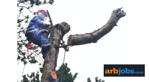 Arb jobs discount