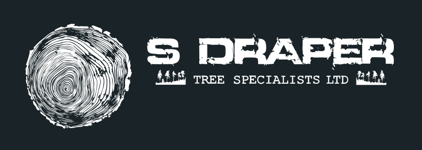 S Draper Tree Specialists Ltd