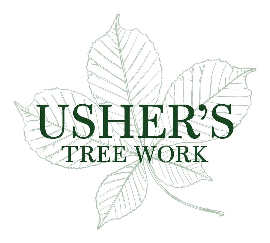 CSG Usher's Ltd