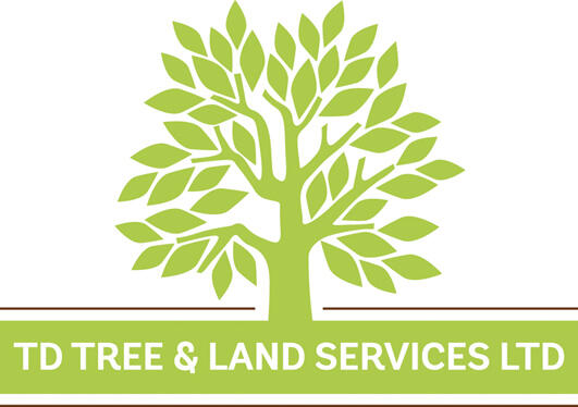 TD Trees & Land Services Ltd