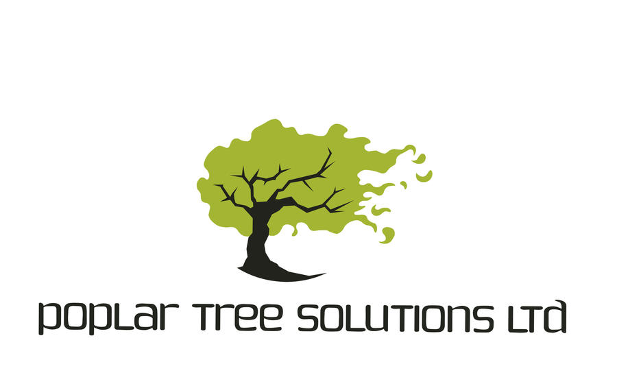 Poplar tree solutions ltd