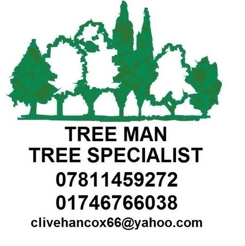 Treeman Tree Specialist LTD