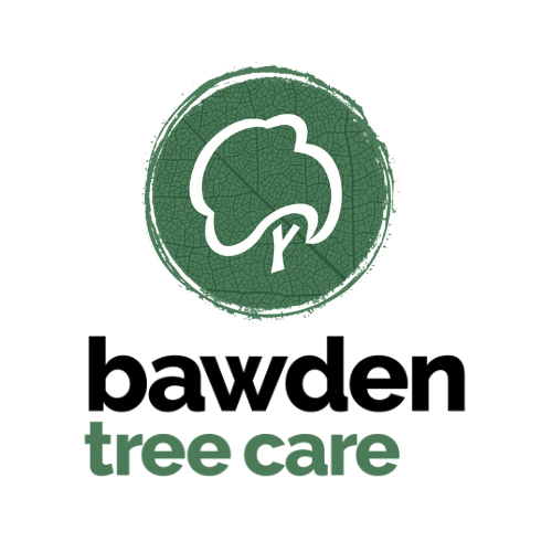 Bawden Tree Care