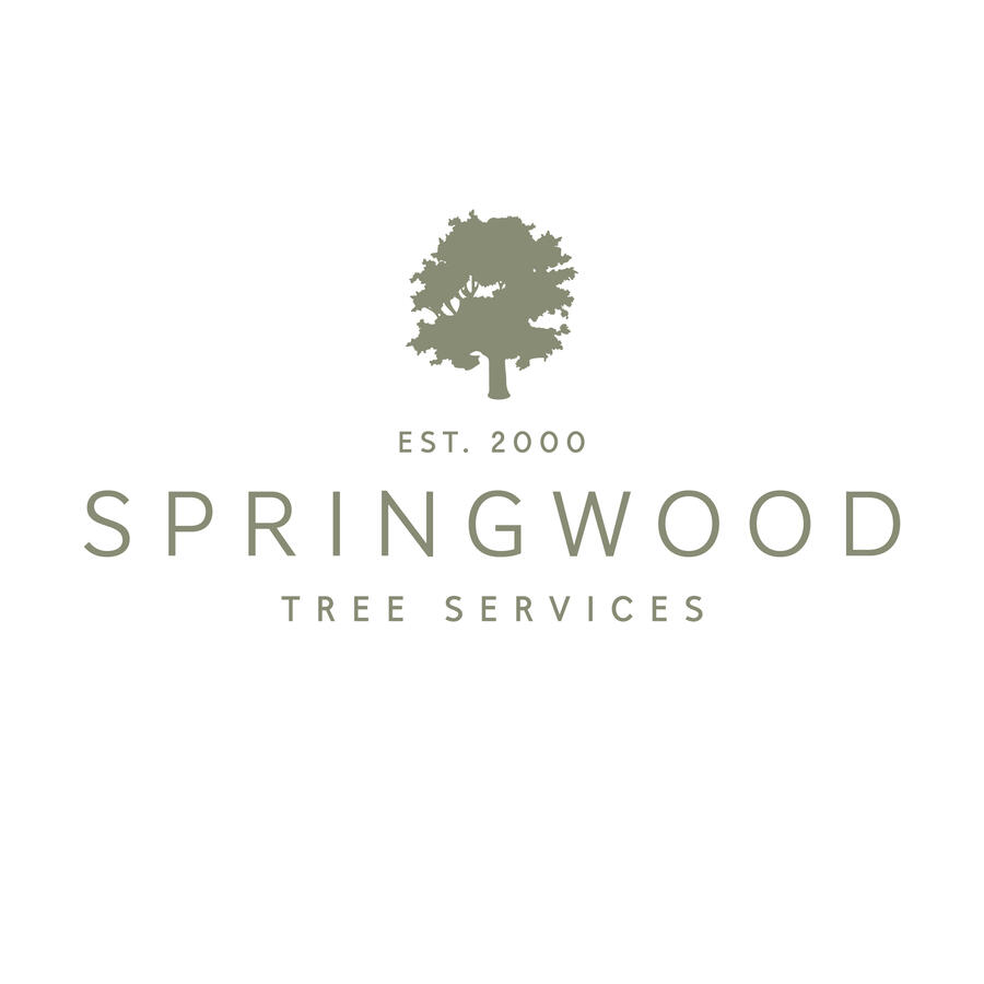 Springwood Tree Services Ltd