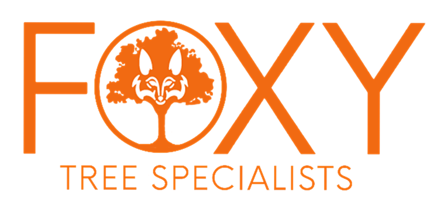 Foxy Arboriculture Ltd