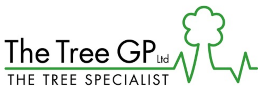 The Tree GP ltd