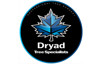 Dryad Tree Specialists Ltd 