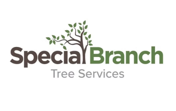 Special Branch Tree Services NE Ltd