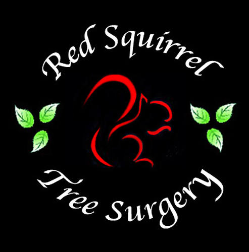 Red Squirrel Tree Surgery Ltd 