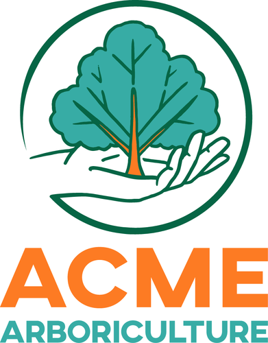 Acme Arb Ltd
